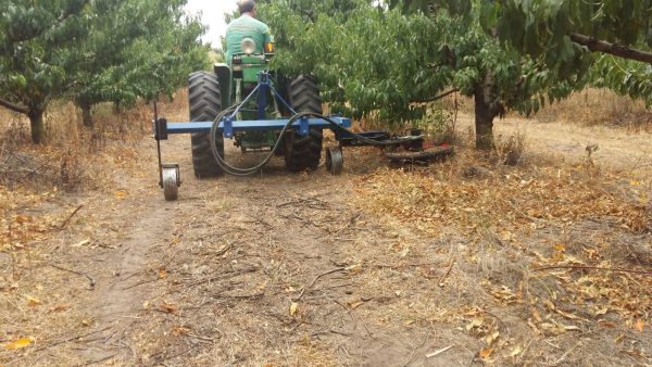 Rotativas Interfilares cortadora de maleza, marca David origen España, maquinaria agrícola - Imagen 5