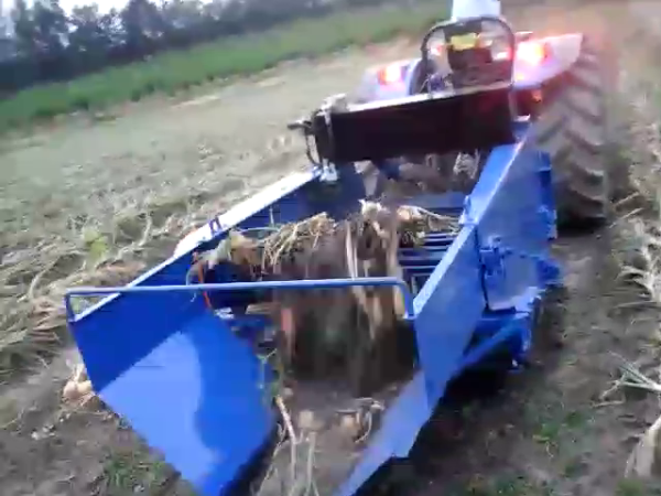 Cosechadora de cebollas, maquinaria rural para el campo - Imagen 2