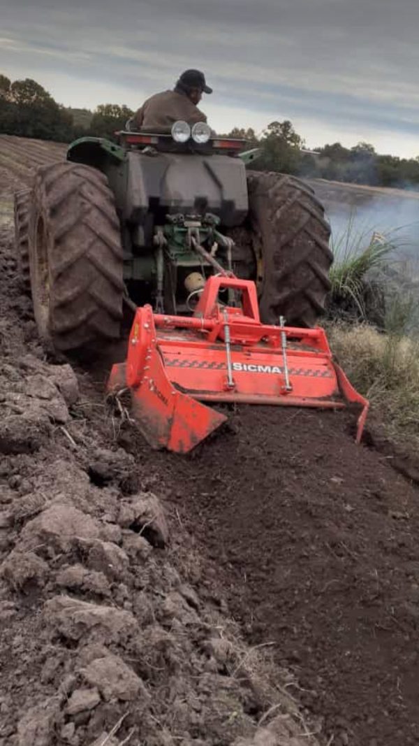 Rotovadores y Rotoencanteradores linea SICMA origen Italia, trituradores de tierra para canteros de cultivos y otros, maquinaria agrícola - Imagen 6